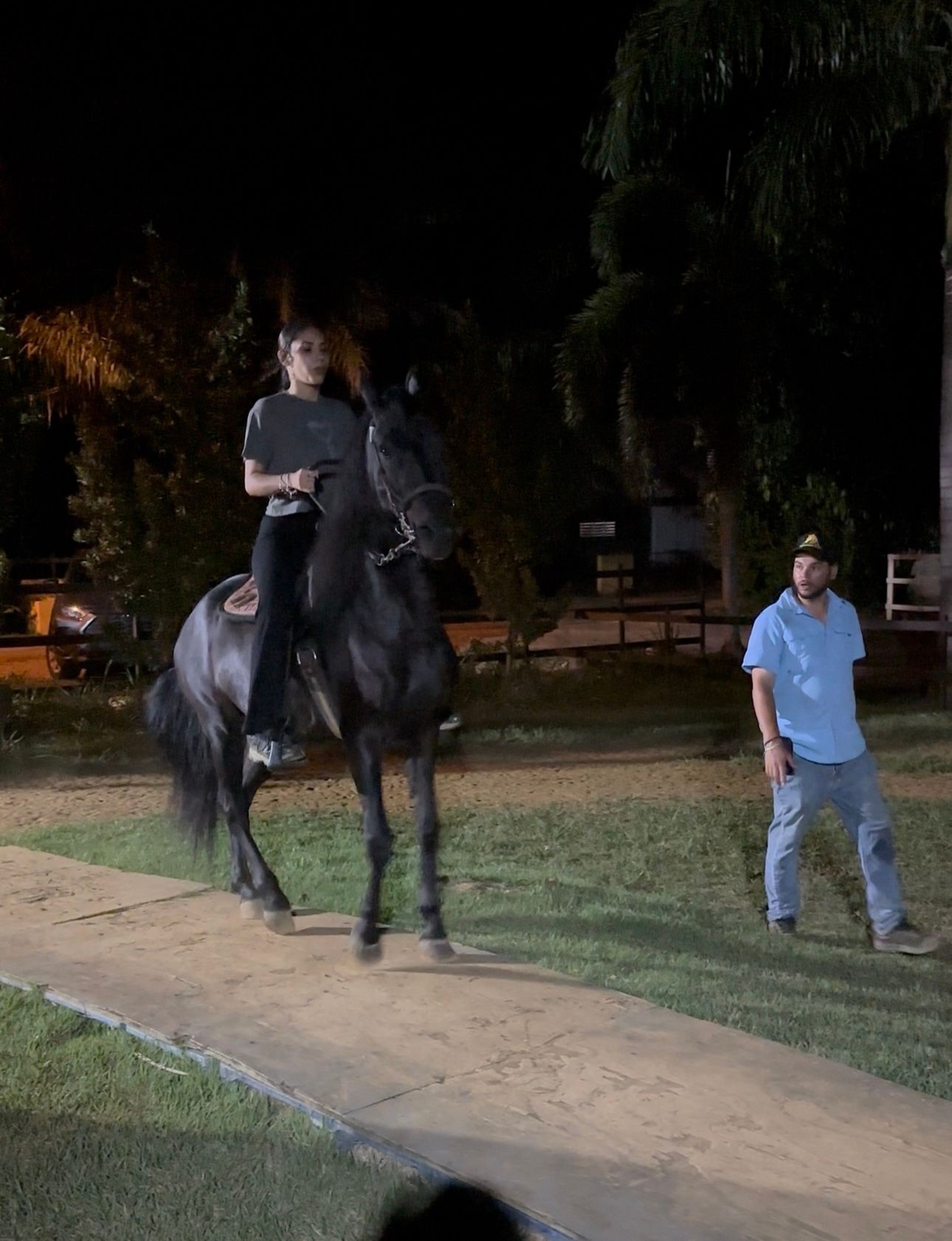 Equestrian Experience