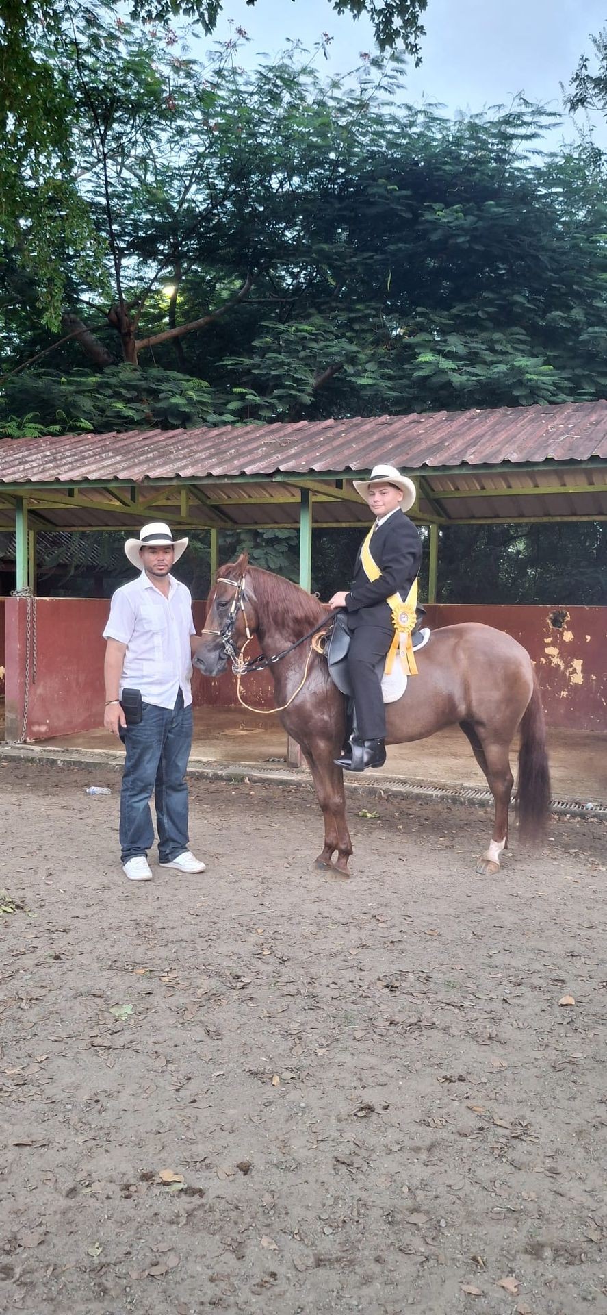 Professional horse trainer